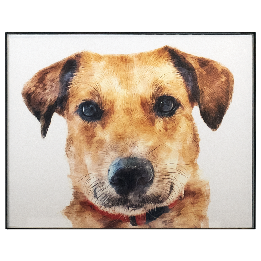 PET PAWTRAITS -lite-