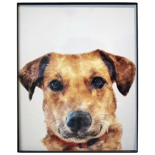 PET PAWTRAITS -lite-