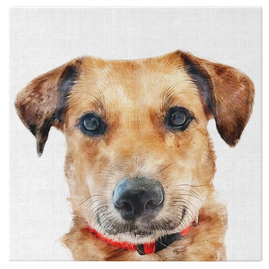 PET PAWTRAITS